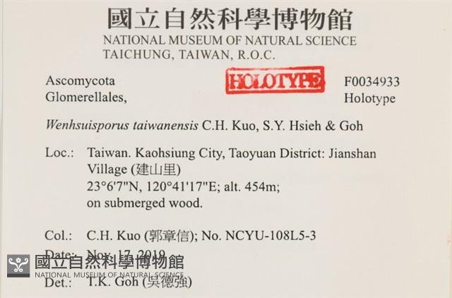 登錄號:F0034933藏品圖，第4張