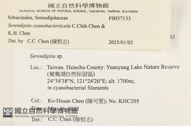 登錄號:F0037133藏品圖，第2張