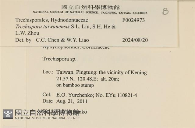 登錄號:F0024973藏品圖，第3張