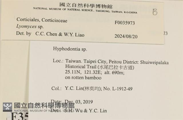 登錄號:F0035973藏品圖，第2張