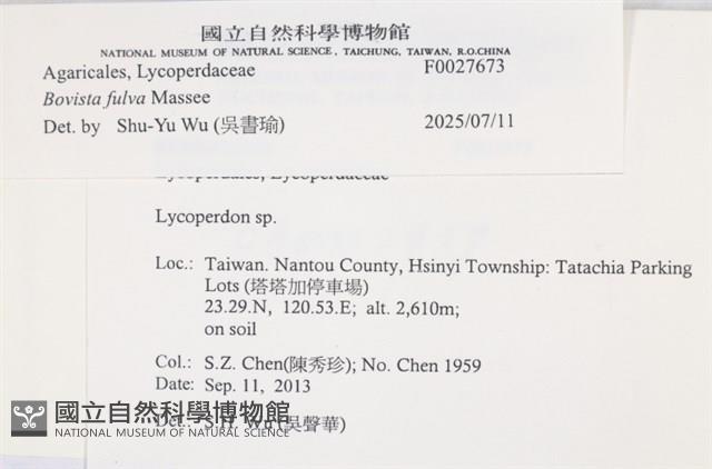 登錄號:F0027673藏品圖，第3張