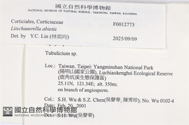 登錄號:F0012773藏品圖，第6張