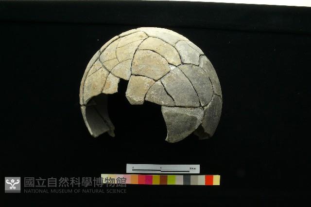 陶罐藏品圖，第5張