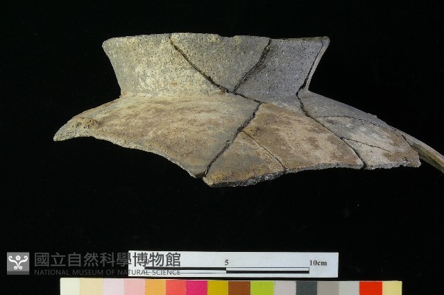 陶罐藏品圖，第5張