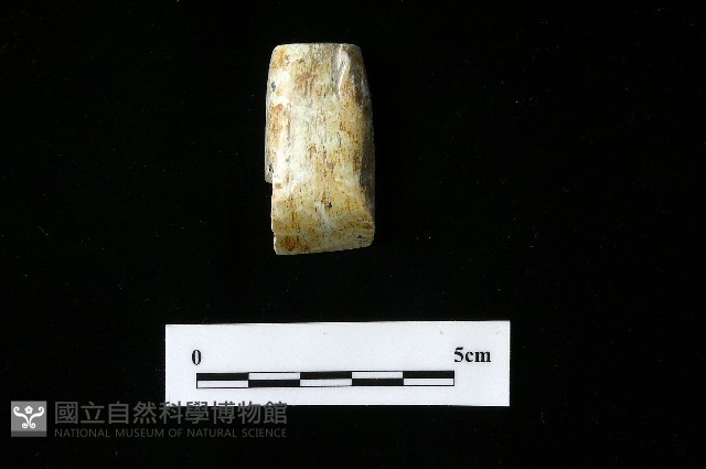 錛鑿形器藏品圖，第5張