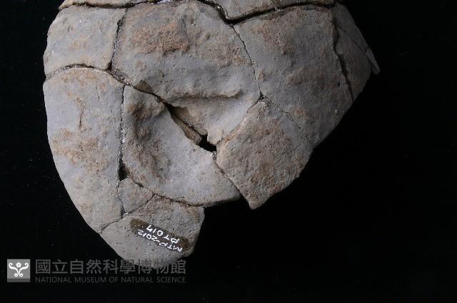 陶蓋藏品圖，第5張