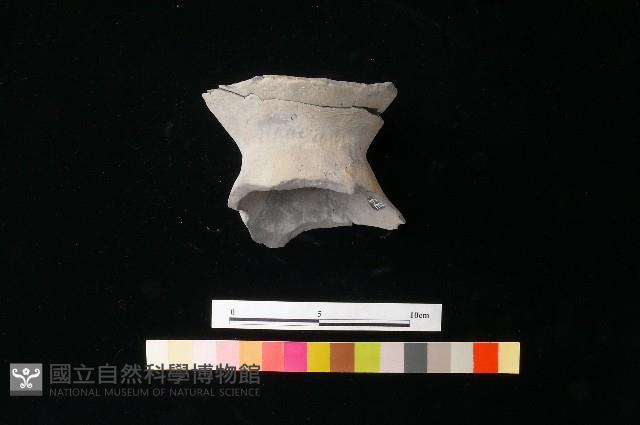 陶片藏品圖，第6張