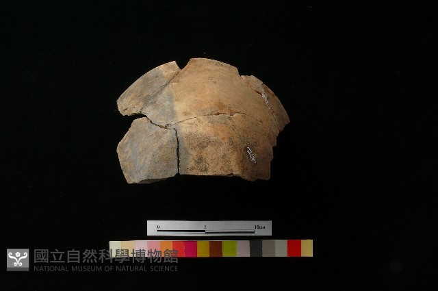 陶缽藏品圖，第5張