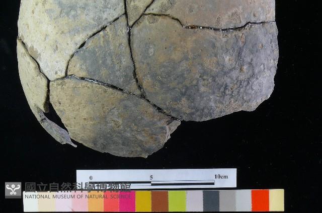 陶罐藏品圖，第5張