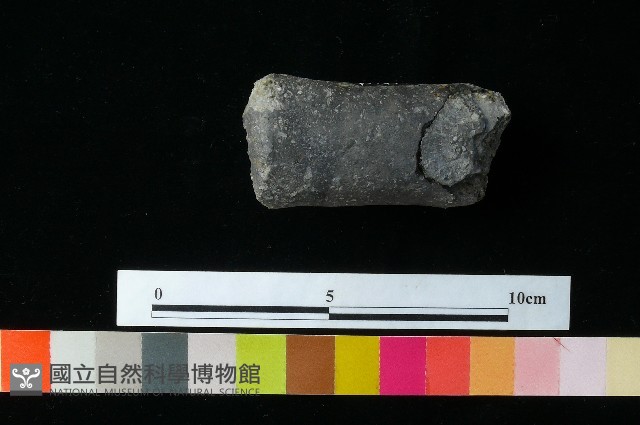 獸足藏品圖，第5張