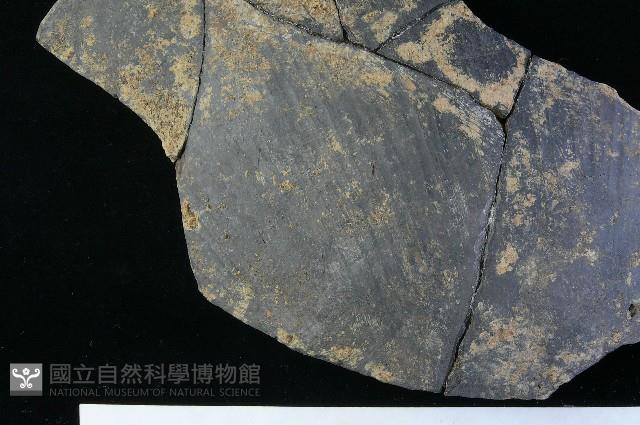 陶缽藏品圖，第5張