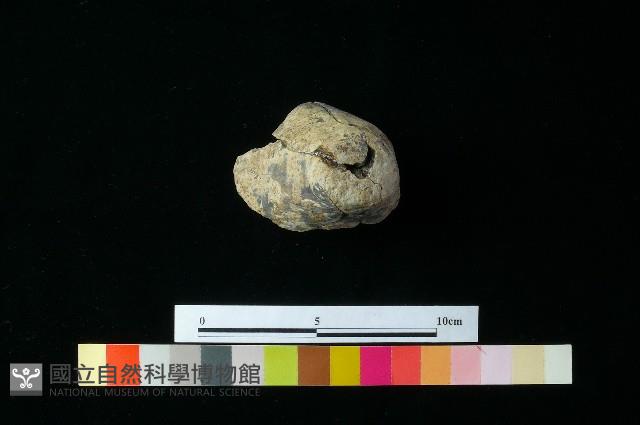 陶器藏品圖，第1張