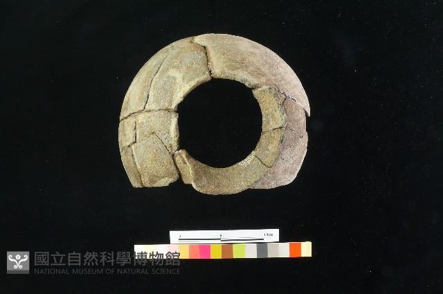 陶罐藏品圖，第5張