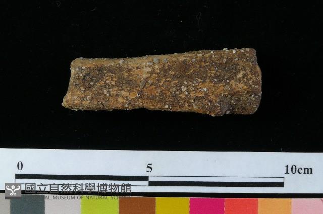 陶器藏品圖，第5張