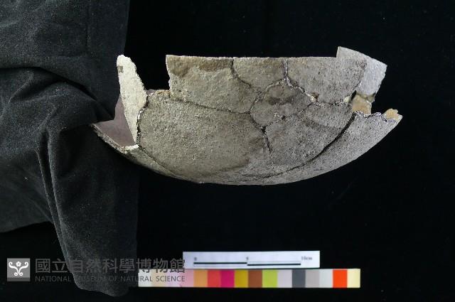 陶缽藏品圖，第5張