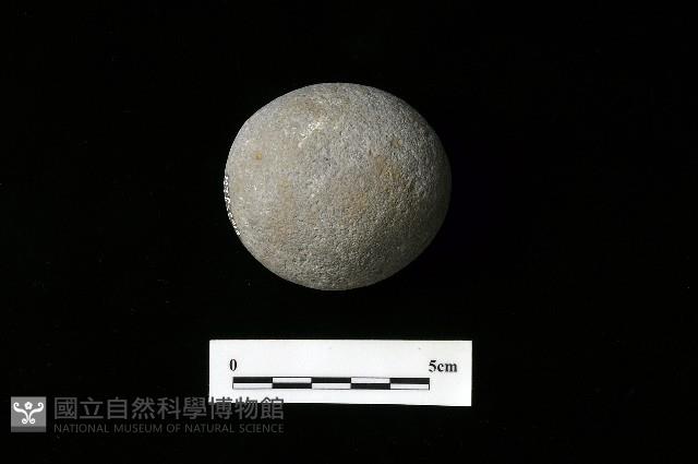 石托藏品圖，第5張