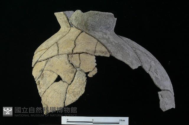 陶罐藏品圖，第1張