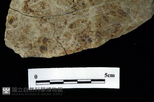 石刀藏品圖，第1張