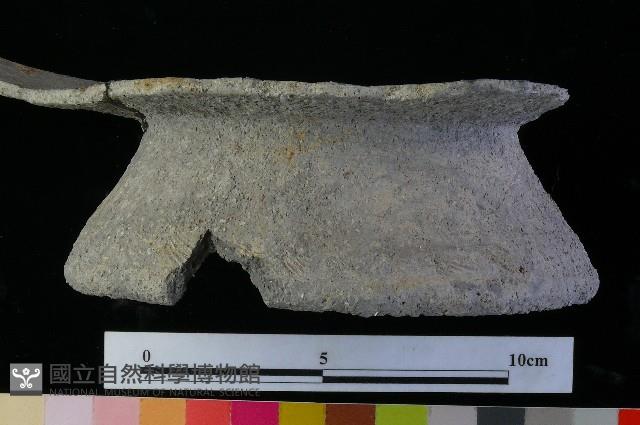 陶罐藏品圖，第5張