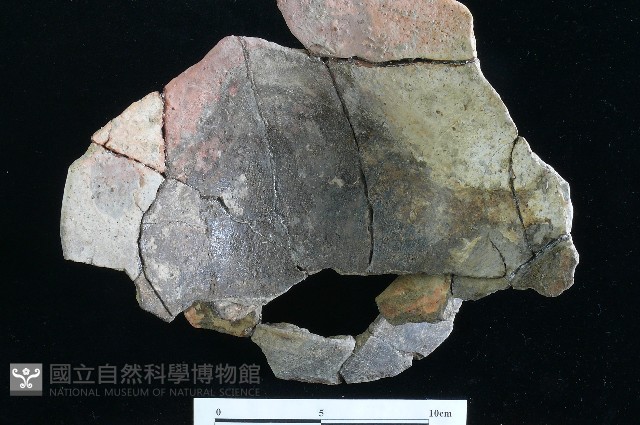 豆形器藏品圖，第15張