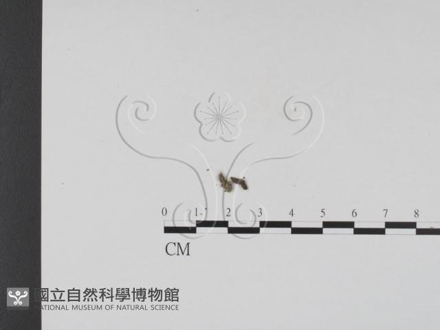 登錄號:F0020188藏品圖，第5張