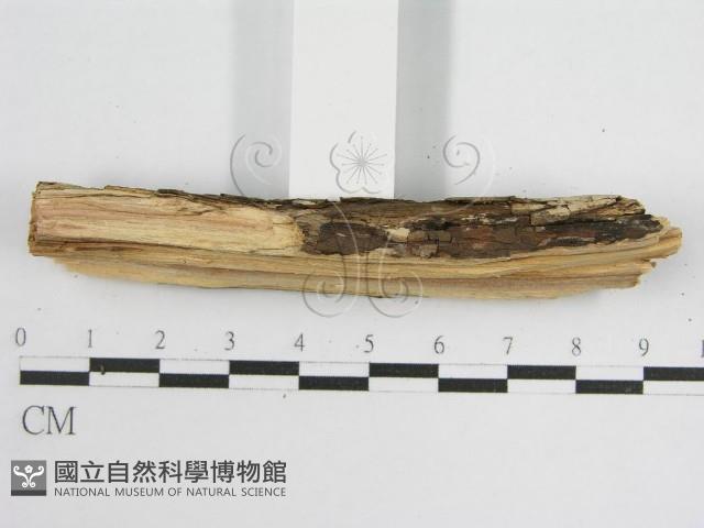 登錄號:F0011990藏品圖，第5張