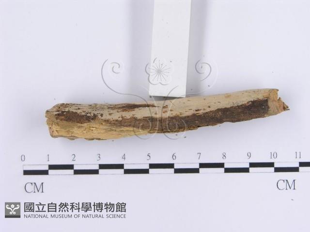 登錄號:F0013690藏品圖，第5張