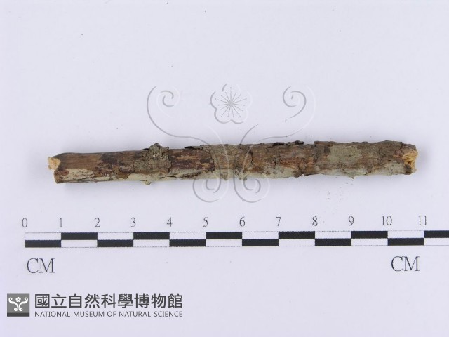 登錄號:F0002986藏品圖，第5張