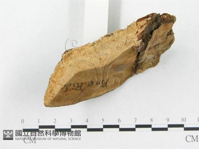 登錄號:F0011391藏品圖，第5張