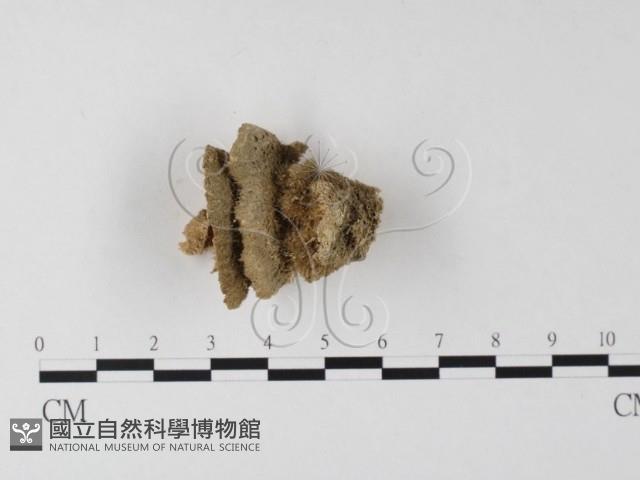 登錄號:F0006794藏品圖，第5張