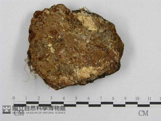 登錄號:F0003794藏品圖，第5張