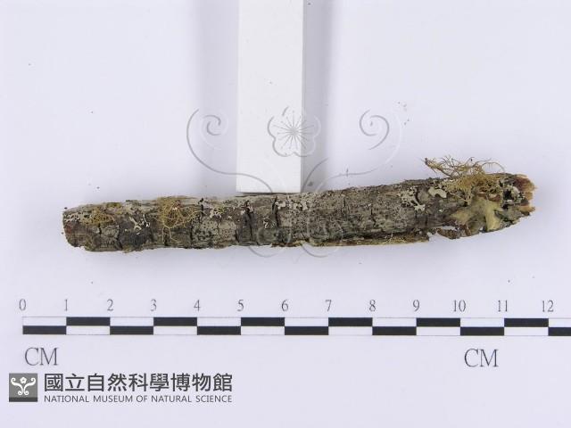 登錄號:F0001192藏品圖，第5張