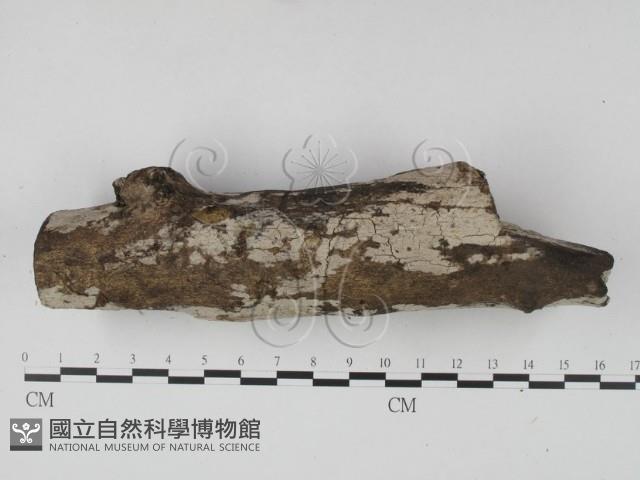 登錄號:F0002397藏品圖，第5張