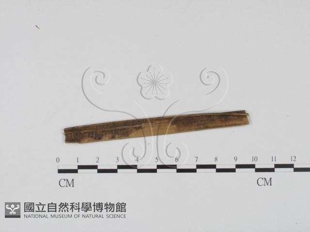 登錄號:F0011587藏品圖，第5張