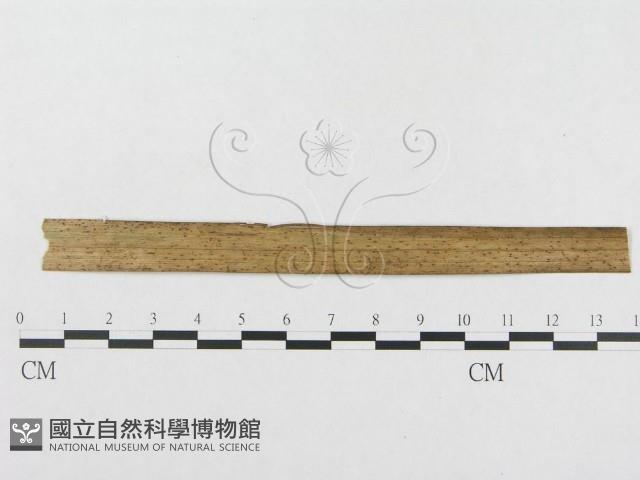 登錄號:F0019285藏品圖，第5張