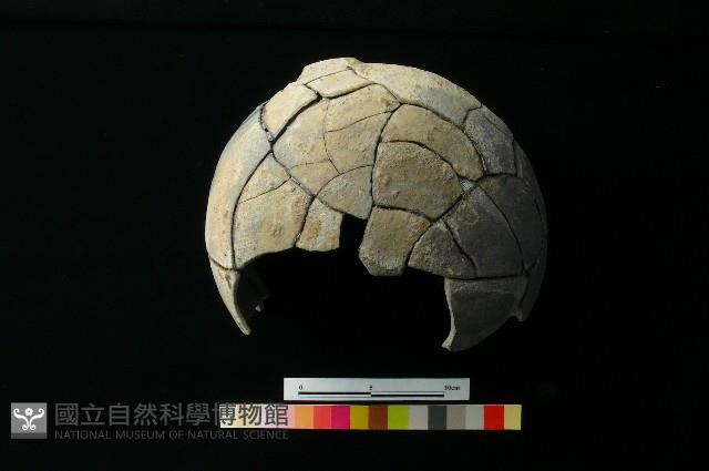 陶罐藏品圖，第4張