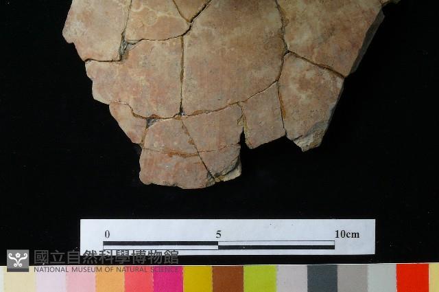 陶罐藏品圖，第1張