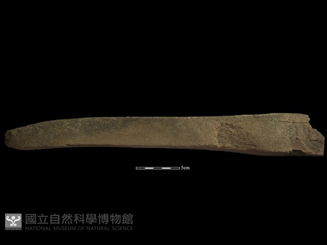 砥石藏品圖，第4張
