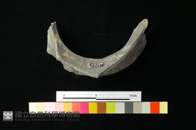 陶罐藏品圖，第4張