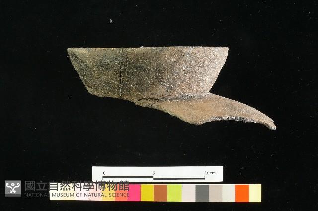 陶罐藏品圖，第4張