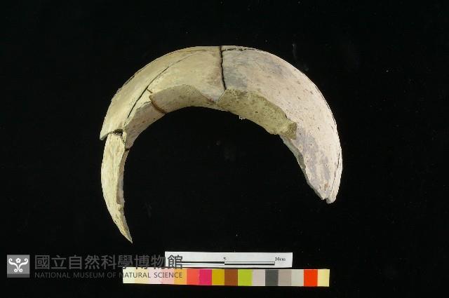 陶罐藏品圖，第1張