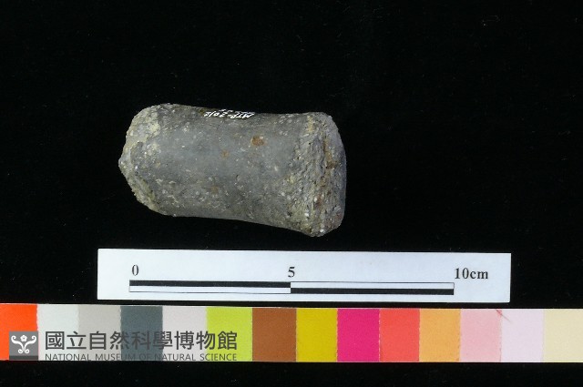 獸足藏品圖，第4張