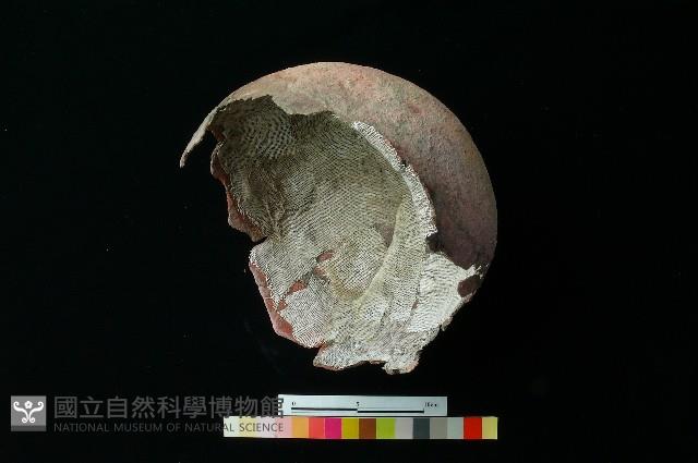 陶罐藏品圖，第5張