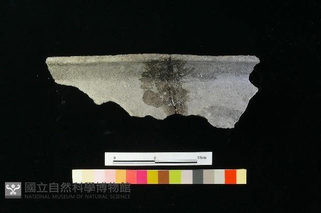 陶缸藏品圖，第4張