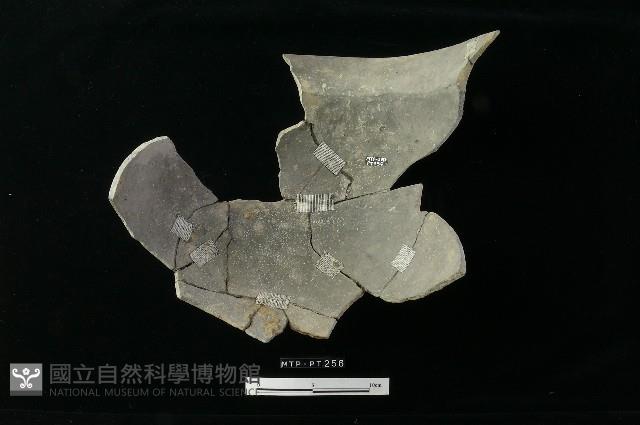 陶罐藏品圖，第4張