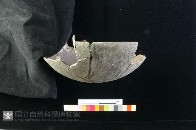 陶缽藏品圖，第4張