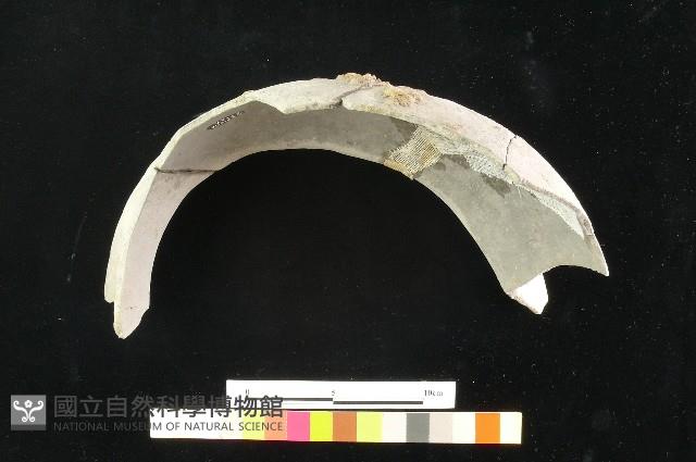 陶罐藏品圖，第4張