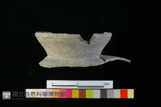 陶罐藏品圖，第4張