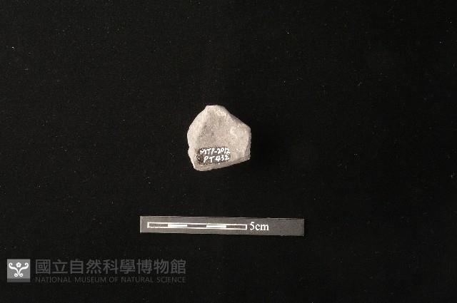 陶蓋鈕藏品圖，第4張