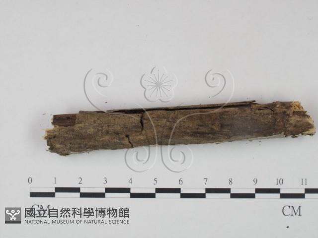 登錄號:F0001498藏品圖，第4張